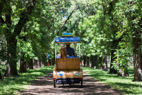 Adelaide 90-Minute Pedicab Tour: Scenic Green & River Experience - Accommodation Whitsundays 0