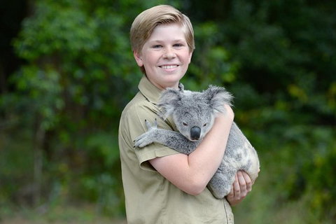 Croc Express To Australia Zoo From Brisbane - Accommodation Whitsundays 1