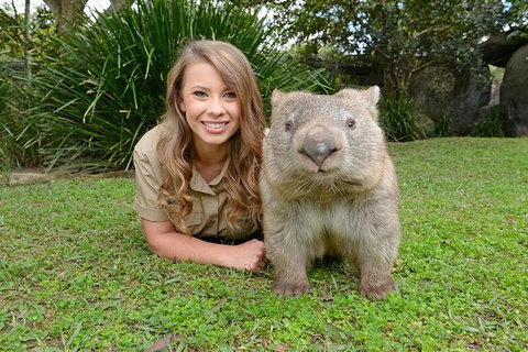 Croc Express To Australia Zoo From Brisbane - Accommodation Whitsundays 0