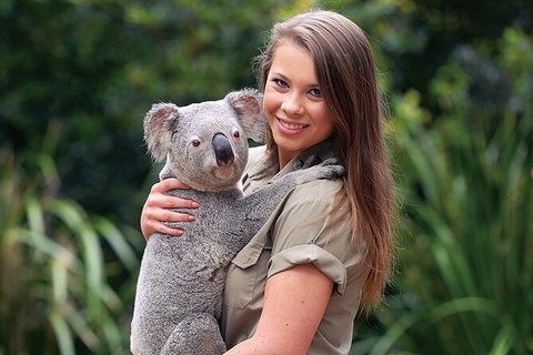 Croc Express To Australia Zoo From Brisbane - Accommodation Whitsundays 7