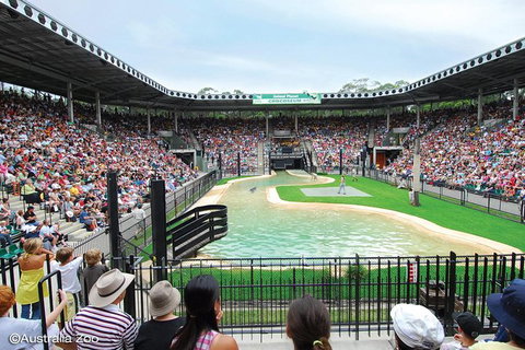 Croc Express To Australia Zoo From Brisbane - Accommodation Whitsundays 12