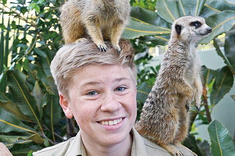 Croc Express To Australia Zoo From Brisbane - Accommodation Whitsundays 9