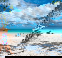 Whitehaven Beach Half-Day Cruises - Accommodation Whitsundays