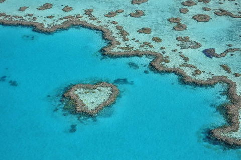 Reef And Island Scenic Flight From Airlie Beach - Accommodation Whitsundays 0