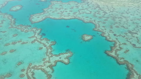 Reef And Island Scenic Flight From Airlie Beach - Accommodation Whitsundays 3