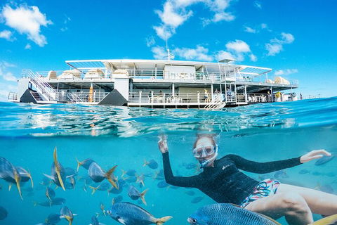2-Day Great Barrier Reef Reefsleep Experience - Accommodation Whitsundays 8