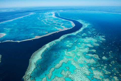 Fly & Cruise Package With Lunch - Accommodation Whitsundays 6