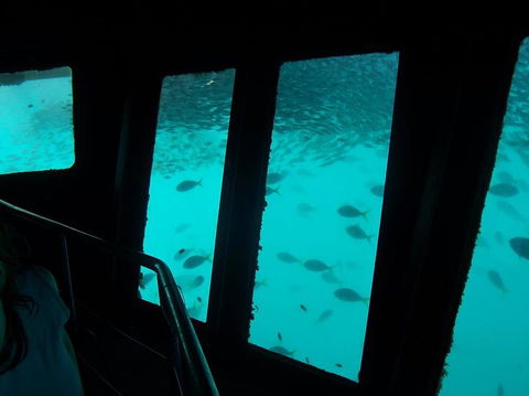 Great Barrier Reef Day Cruise To Reefworld - Accommodation Whitsundays 12