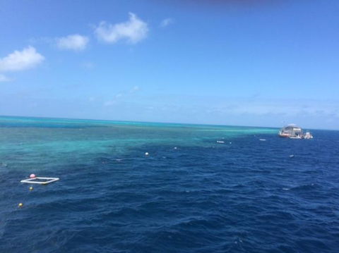 Great Barrier Reef Day Cruise To Reefworld - Accommodation Whitsundays 8
