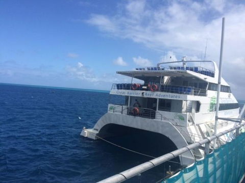 Great Barrier Reef Day Cruise To Reefworld - Accommodation Whitsundays 7