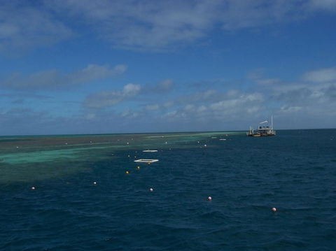 Great Barrier Reef Day Cruise To Reefworld - Accommodation Whitsundays 15