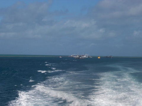 Great Barrier Reef Day Cruise To Reefworld - Accommodation Whitsundays 22