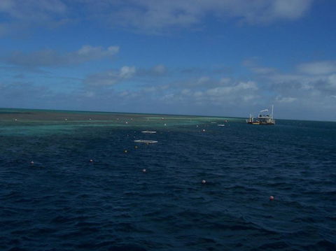 Great Barrier Reef Day Cruise To Reefworld - Accommodation Whitsundays 13
