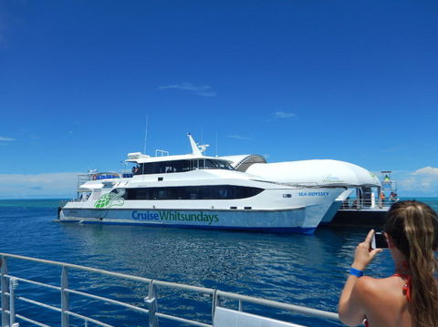 Great Barrier Reef Day Cruise To Reefworld - Accommodation Whitsundays 4