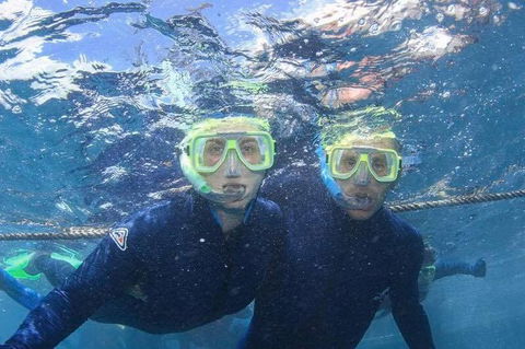 Great Barrier Reef Day Cruise To Reefworld - Accommodation Whitsundays 3