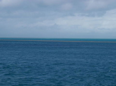 Great Barrier Reef Day Cruise To Reefworld - Accommodation Whitsundays 21