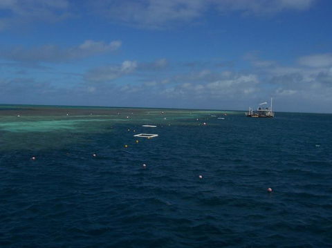 Great Barrier Reef Day Cruise To Reefworld - Accommodation Whitsundays 14