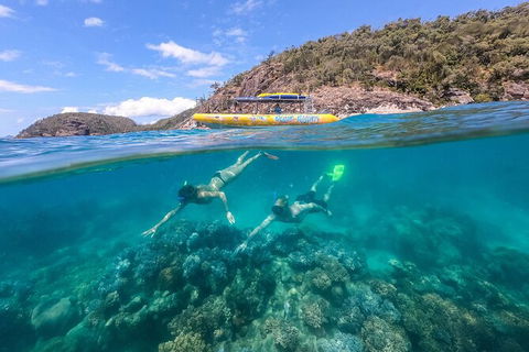 Ocean Rafting Tour To Whitehaven Beach, Hill Inlet Lookout & Top Snorkel Spots - Accommodation Whitsundays 16