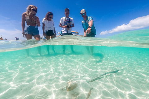 Ocean Rafting Tour To Whitehaven Beach, Hill Inlet Lookout & Top Snorkel Spots - Accommodation Whitsundays 24
