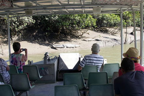 Whitsunday Crocodile Safari Including Lunch - Accommodation Whitsundays 13