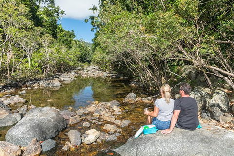 Whitsunday Segway Rainforest Discovery Tour - Accommodation Whitsundays 4