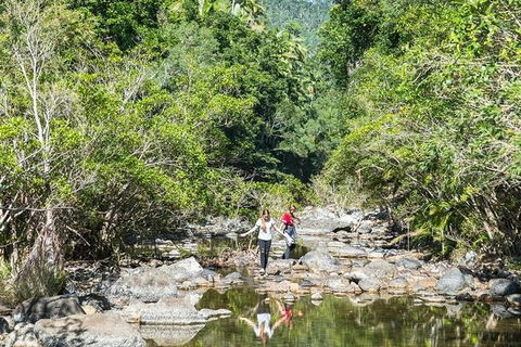 Whitsunday Segway Rainforest Discovery Tour - Accommodation Whitsundays 10
