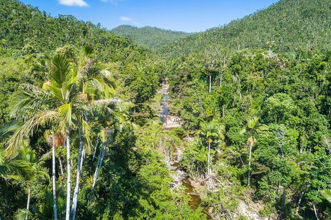 Whitsunday Segway Rainforest Discovery Tour - Accommodation Whitsundays 5