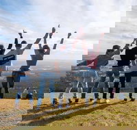 Full Day Mount Tamborine Winery Tour from Gold Coast - Accommodation Whitsundays