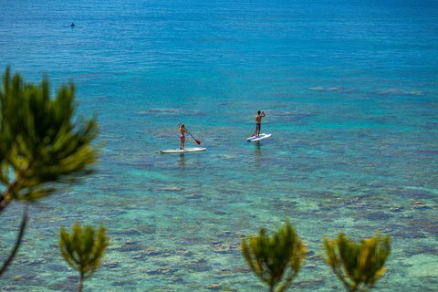 2-Night Whitsundays Sailing Adventure: Whitsunday Getaway - Accommodation Whitsundays 8