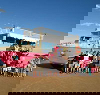 Town of 1770 Afternoon Cruise - Accommodation Whitsundays