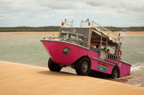 Town Of 1770 Afternoon Cruise - Accommodation Whitsundays 1