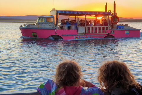 Town Of 1770 Afternoon Cruise - Accommodation Whitsundays 2