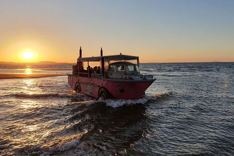 Town Of 1770 Afternoon Cruise - Accommodation Whitsundays 7