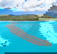 Whitsundays Jet Ski Tour - Accommodation Whitsundays