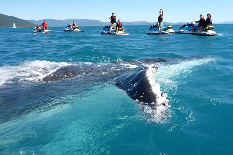Whitsundays Jet Ski Tour - Accommodation Whitsundays 20