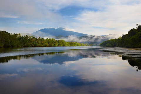 Daintree River Dawn Cruise - Accommodation Whitsundays 5