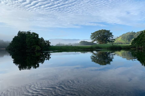 Daintree River Dawn Cruise - Accommodation Whitsundays 3