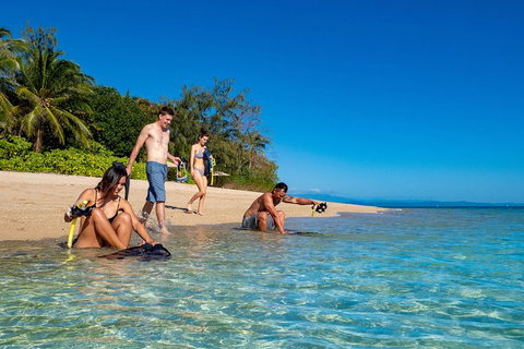 Half Day Low Isles Snorkelling Tour From Port Douglas - Accommodation Whitsundays 2