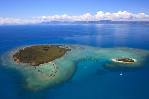 Half Day Low Isles Snorkelling Tour From Port Douglas - Accommodation Whitsundays 4
