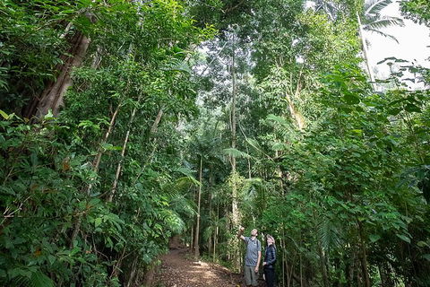 Whitsundays Tropical Rainforest, Waterfalls And Airlie Beach Eco Experience - Accommodation Whitsundays 1