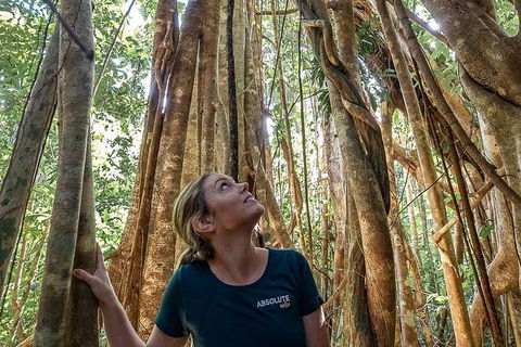 Whitsundays Tropical Rainforest, Waterfalls And Airlie Beach Eco Experience - Accommodation Whitsundays 14
