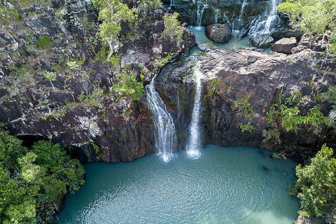 Whitsundays Tropical Rainforest, Waterfalls And Airlie Beach Eco Experience - Accommodation Whitsundays 13