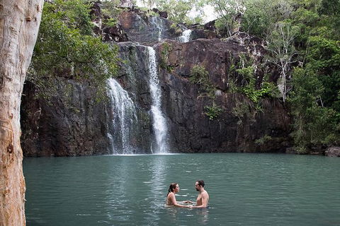 Whitsundays Tropical Rainforest, Waterfalls And Airlie Beach Eco Experience - Accommodation Whitsundays 10