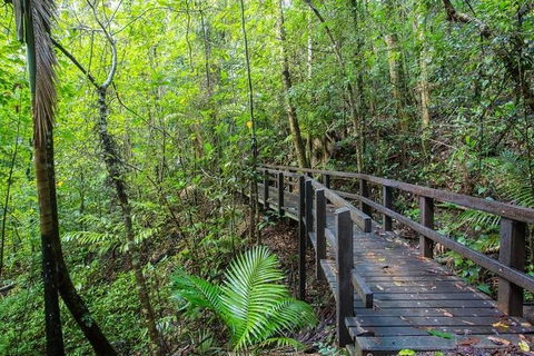 Whitsundays Tropical Rainforest, Waterfalls And Airlie Beach Eco Experience - Accommodation Whitsundays 3