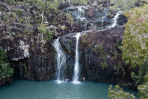 Whitsundays Tropical Rainforest, Waterfalls And Airlie Beach Eco Experience - Accommodation Whitsundays 9