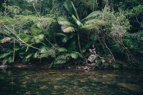 Whitsundays Tropical Rainforest, Waterfalls And Airlie Beach Eco Experience - Accommodation Whitsundays 2