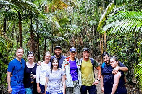 Whitsundays Tropical Rainforest, Waterfalls And Airlie Beach Eco Experience - Accommodation Whitsundays 15