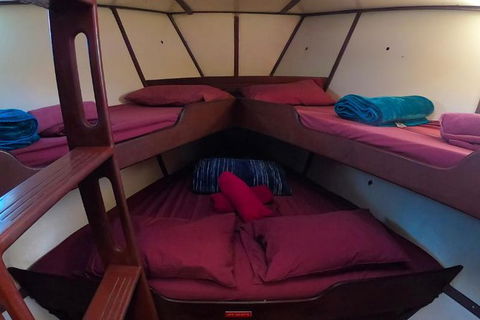 2-Day Whitsundays Sailing Adventure: SV Whitehaven - Accommodation Whitsundays 6