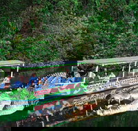 Daintree River Cruise - Accommodation Whitsundays