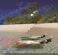 Wavedancer Low Isles Great Barrier Reef Sailing Cruise from Palm Cove - Accommodation Whitsundays